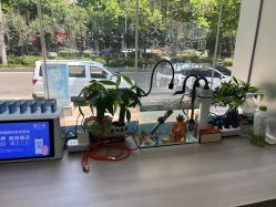 -DK SALON连锁专业烫染接发店