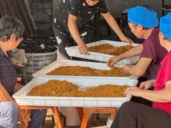 -苏州市吴中区光福窑上花果蜜饯厂