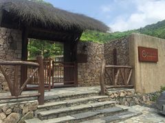 -看见远方·莫干遥远的山民宿