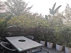 -马家斑.鲜鱼火锅(松湖万科店)