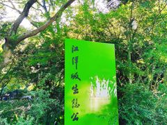 -西湖风景区-江洋畈生态公园