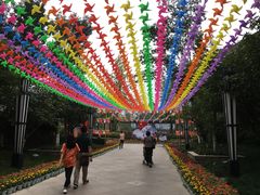 -成飞公园