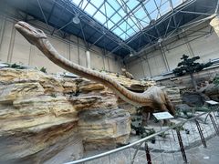 -国家自然博物馆