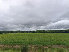 -御道口草原森林风景区