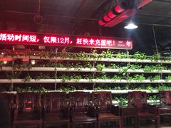 -特味村福园