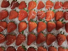 -食廬(浦东嘉里城店)