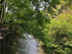 -阿哈湖国家湿地公园