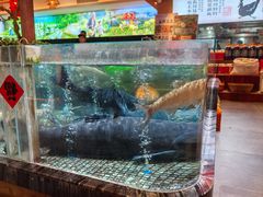 -传统菜农庄(皇姑路店)