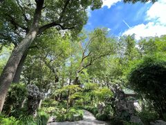 -申粤轩酒楼·三十年粤菜经典(丁香花园店)