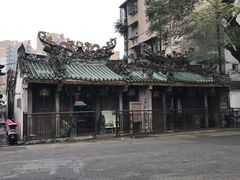 -老妈宫粽球