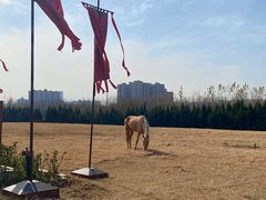 -汉长安城未央宫国家考古遗址公园