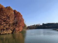 -梁鸿国家湿地公园