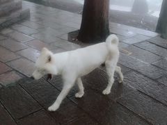 -石燕湖生态旅游景区