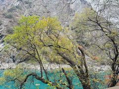 -叠溪松坪沟景区