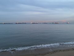 -珍宝海鲜(东海岸海鲜中心)