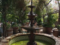-The Grounds of Alexandria