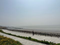 -瀛洲公园