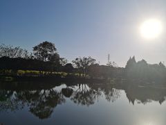 -八卦田遗址公园