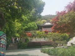 -十八棵（老龙井）御茶园(老龙井店)