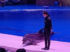 -华夏文旅海洋公园