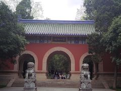-灵谷景区