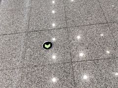 -宋家庄(地铁站)
