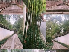 -杭州黄龙洞