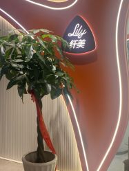 -Lily纤美·科技减脂中心