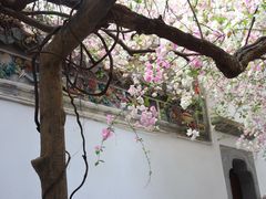 -深圳国际园林花卉博览园