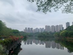 -重庆彩云湖湿地公园