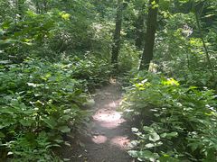 -大岭沟猕猴桃谷风景区