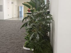 -许爷家·生态湖鲜(徐汇日月光店)