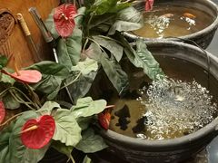 -郭家大院(新源店)