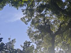 -WeLope紫金山探险公园