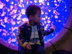 -哈尔滨波塞冬海底世界