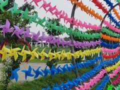 -广东花都香草世界旅游度假区