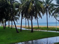 -海南清水湾莱佛士酒店