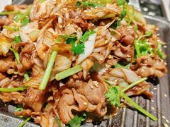 -三强鸽子(中原路店)