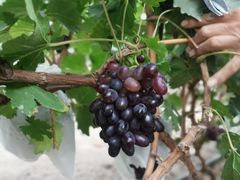 -兴芮温泉度假区