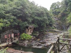 -清溪森林公园