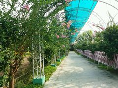 -广州花之恋城堡酒店