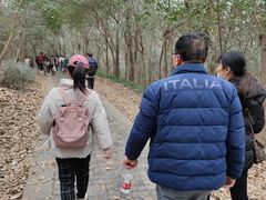 -紫金山山顶公园