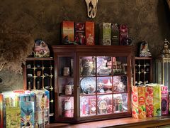 -雪灵魔法世界SHELLY’S TAROT(大良桂畔里店)