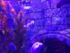 -波塞冬旅游度假区