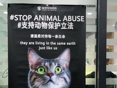 -瑞派雷欧宠物医院·24h夜诊·心脏骨科牙科·全科重症转诊中心(无影山店)