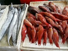 android_upload_pic-海峡水产品交易中心(海鲜交易区)