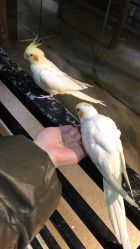 -酷嗒动物文化乐园(cutezoo西溪乐天城店)