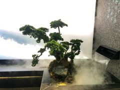 -望湘园·洞庭渔宴(浦江欢乐颂店)