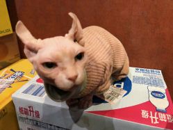 -奇文堂专业纹身馆