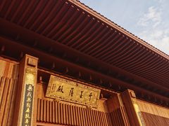 -深圳仙湖植物园